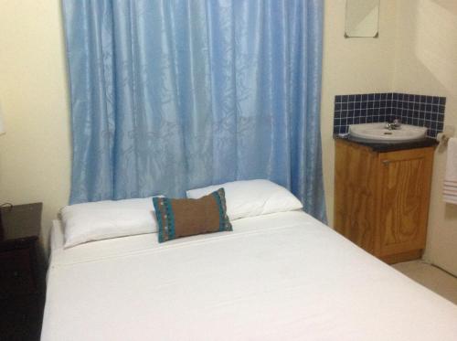 DʼArbeauMitchell's Guest House的一间卧室配有一张带水槽和蓝色窗帘的床