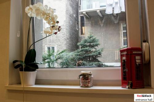萨格勒布Red & Black Apartment的窗户,有红色电话盒和圣诞树