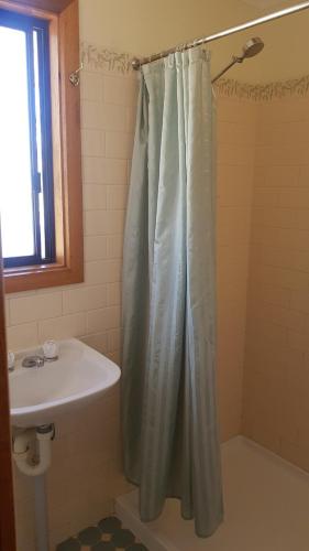 帕恩达纳帕恩达纳小屋酒店的浴室配有淋浴帘和盥洗盆。