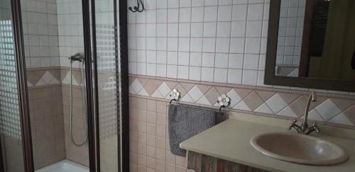 埃尔加斯托尔Casa Rural Llanama的一间带水槽和淋浴的浴室