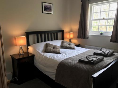 瓦斯代尔下城Scafell View Apartment, Wasdale, Lake District, Cumbria的一间卧室配有一张带两盏灯的床。