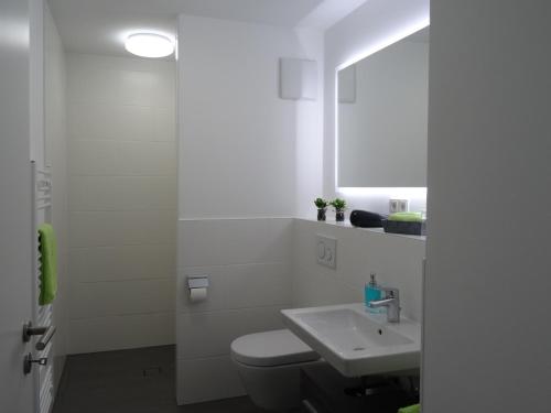 特里尔Ferienapartment im Augustinus Park的白色的浴室设有卫生间和水槽。