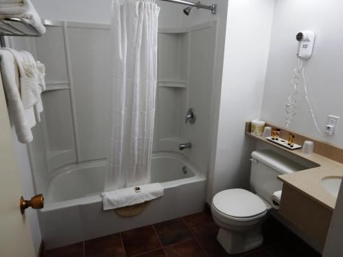 萨默赛德斯乐梦公园酒店&会议中心的带浴缸、卫生间和盥洗盆的浴室