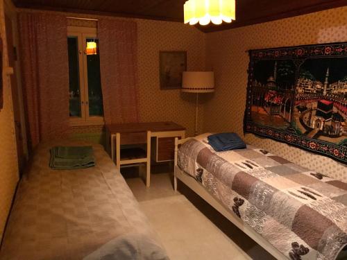 萨拉SÄHKÖPIRTTI SALMIVAARA的一间卧室配有一张床和一张带台灯的桌子