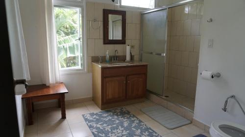 NgermidThe Dudek's Nest B&B的一间带水槽、淋浴和镜子的浴室