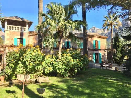 索列尔芬卡卡斯桑特酒店的庭院里棕榈树的房子