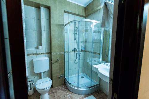 康斯坦察斐迪南酒店的带淋浴、卫生间和盥洗盆的浴室