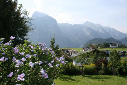 阿布特瑙贝格麦特豪斯酒店的花园内种有鲜花和山脉
