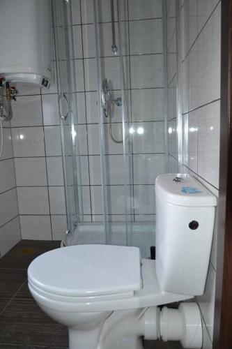 扎托尔Domki całoroczne的浴室配有白色卫生间和淋浴。