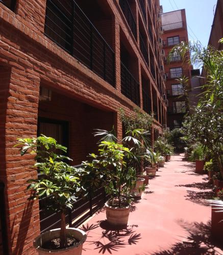 布宜诺斯艾利斯Duomi Hotel Buenos Aires的建筑物边一排盆盆栽植物