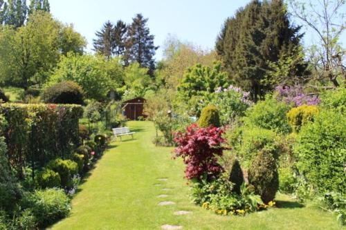 MénilB & B Le Jardin Bed & Breakfasts的花园,花园内有许多灌木丛和花卉,还有长凳