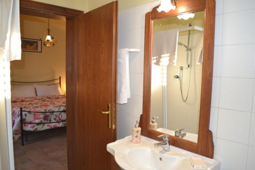 罗卡斯特拉达Podere dei maddii的一间带水槽和镜子的浴室以及一张床