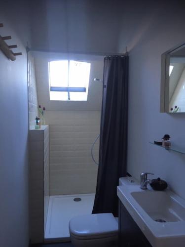 奥德纳尔德Annex的带淋浴、卫生间和盥洗盆的浴室