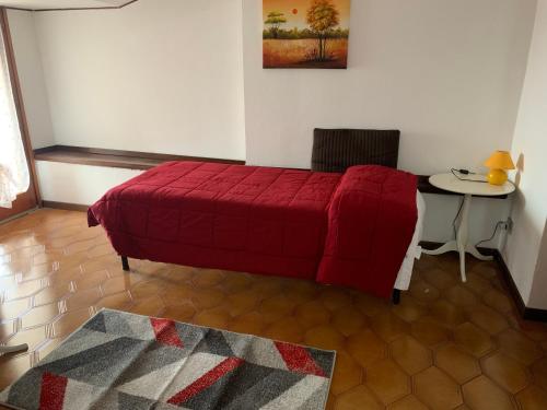 奥里奥阿塞里奥Apartment La Terrazza的一张红色的沙发,位于带桌子的房间