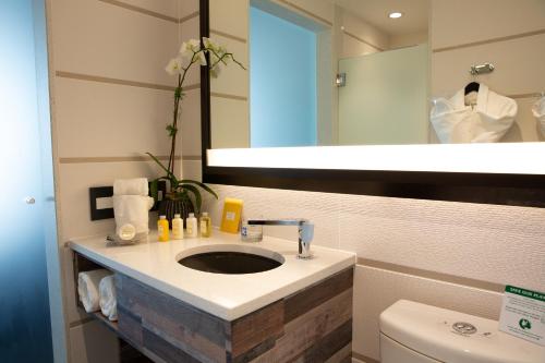 布鲁克林乐蓝酒店的一间带水槽和镜子的浴室