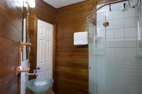 博卡斯德尔托罗法鲁德尔科利柏酒店的一间带水槽和玻璃淋浴的浴室