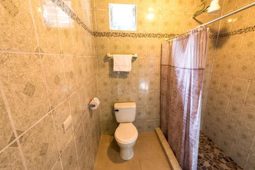 埃尔卡斯蒂约Los Tucanes Lodging的一间带卫生间和淋浴的浴室
