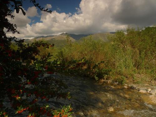 洛斯奥尔尼约斯Samsara Traslasierra的享有山脉背景的田野景色