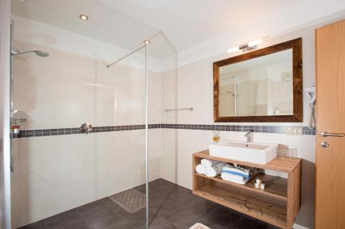 维拉巴萨嘉斯托夫威耶尔巴酒店的一间带水槽和玻璃淋浴的浴室