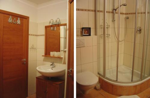 施图拜河谷新施蒂夫特Haus Harbauer的两张照片,浴室设有淋浴和水槽