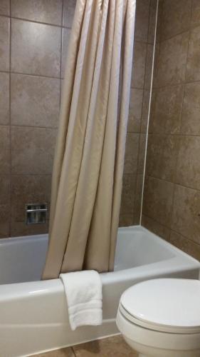 VirginiaLakeshor Motor Inn的浴室设有卫生间和带淋浴帘的浴缸。