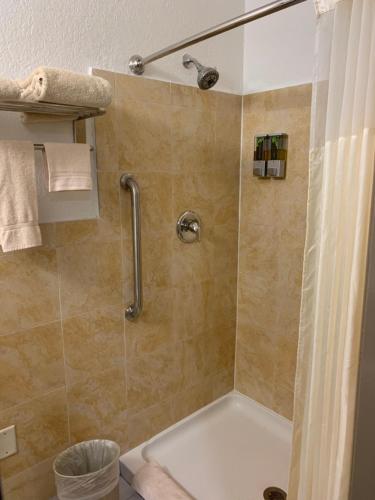 莱克威尔士威尔士湖经济旅馆的带淋浴和浴帘的浴室
