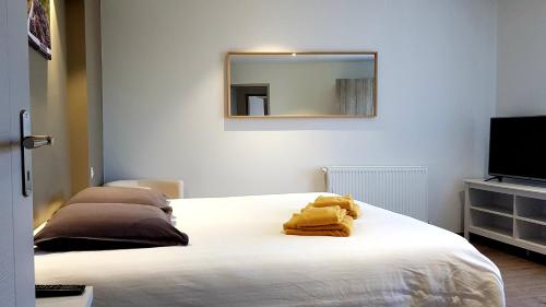 埃佩尔奈La Villa Geiss的一间卧室设有两张床,墙上设有一面镜子