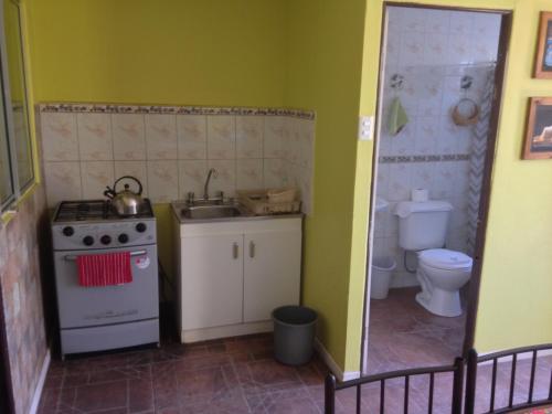 圣佩德罗·德·阿塔卡马Cota6000 Expediciones Dpto A的厨房配有炉灶、水槽和卫生间