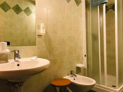奥萨纳Hotel Santoni的一间带水槽和淋浴的浴室