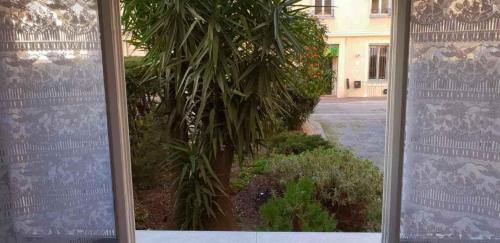 芒通location saisonnière的透过窗户欣赏棕榈树的景色