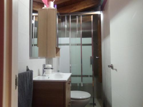 伊巴兰格鲁Playa Laga的一间带水槽、卫生间和镜子的浴室