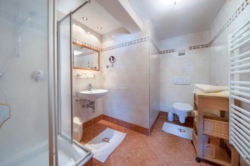 平茨高谷地霍勒尔斯巴赫Peilberghof的带淋浴、盥洗盆和卫生间的浴室