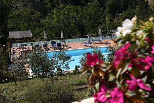皮耶韦福斯切纳贝维德雷别墅酒店的享有带椅子和鲜花的游泳池的景色
