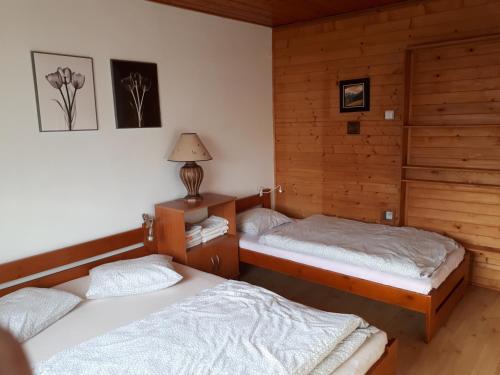 弗尔赫拉比Privát - Melanie的木墙客房 - 带两张单人床