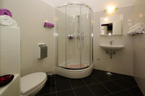 尼亚卢卡B&B Vela Luka的带淋浴、卫生间和盥洗盆的浴室