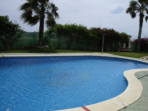贝莱斯exclusivo Atico en primera línea de playa的棕榈树庭院里的一个大型蓝色游泳池