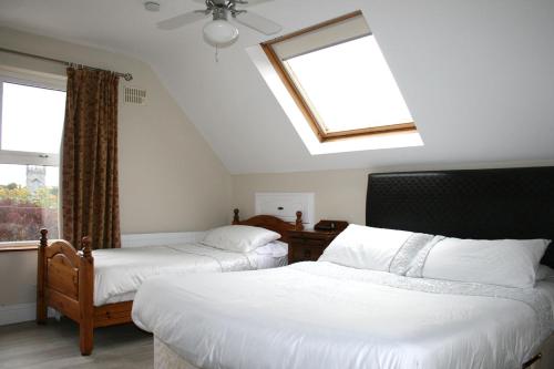基尔肯尼Celtic House B&B的一间卧室设有两张床和天窗