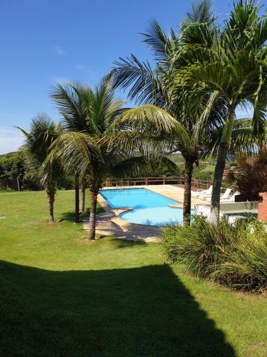 布希奥斯Lindo Apartamento em Buzios的庭院内棕榈树游泳池