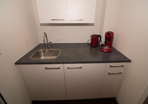 德科赫De Vier Berken 2的厨房柜台设有水槽和红色搅拌机