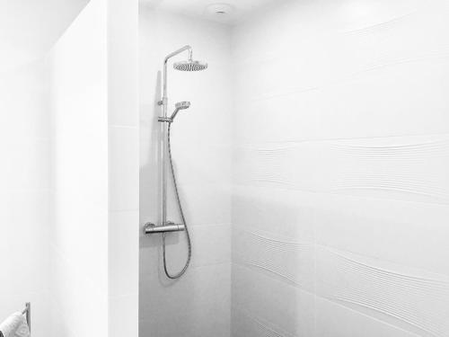 Uhart-CizeMaison Fleurie的浴室内配有淋浴和头顶淋浴