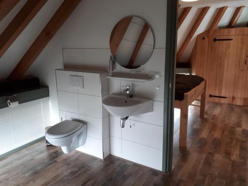 Maasland安德夸克尔酒店的一间带水槽、卫生间和镜子的浴室