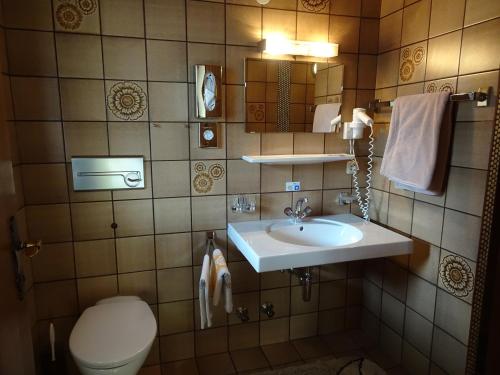 因斯布鲁克弗里德尔膳食旅馆的一间带水槽和卫生间的浴室