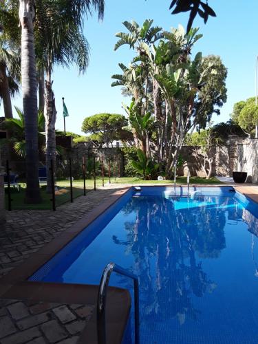 奇克拉纳－德拉弗龙特拉Hotel Azalea Playa的一座棕榈树环绕的游泳池