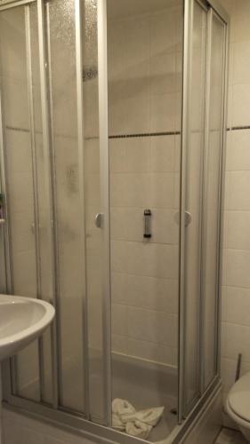 安姆茨堡维里斯池别墅酒店的浴室里设有玻璃门淋浴