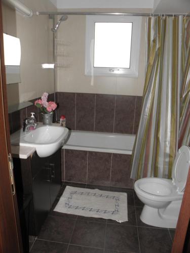 帕拉利米尼Cosy apartment in a luxury resort的一间带水槽、卫生间和淋浴的浴室