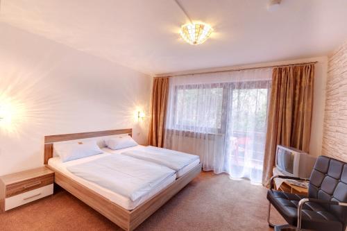 菲希特尔山区巴特贝内克Hotel Pension Blüchersruh的一间卧室设有一张床、一台电视和一个窗口。