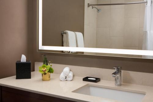 明尼阿波利斯明尼阿波利斯千禧国际酒店的一间带水槽和镜子的浴室