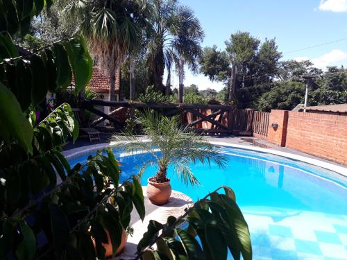伊瓜苏港Sentirse en casa的围栏旁的游泳池,有盆栽植物