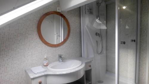 欧特维尔－隆普内斯Le Studio du Brochy的一间带水槽、镜子和淋浴的浴室