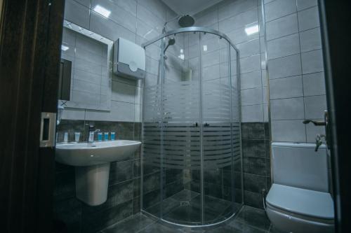 巴统Hotel Batumi Palace的带淋浴、盥洗盆和卫生间的浴室